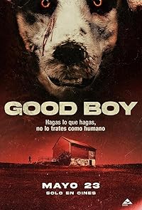 Good Boy 2022 Hindi Dubbed Norwegian Movie Download 480p 720p 1080p FilmyFly