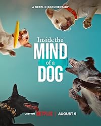 Inside the Mind of a Dog Hindi Dubbed English Movie Download 480p 720p 1080p FilmyFly