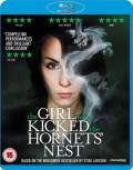 The Girl Who Kicked The Hornets Nest 2009 Dual Audio Hindi 480p FilmyFly