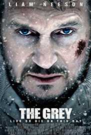 The Grey 2011 Hindi Dubbed 300MB 480p FilmyFly